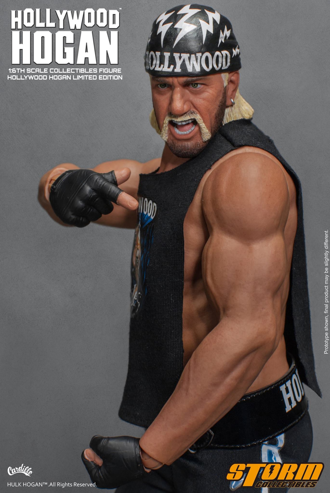 Hulk Hogan Figures by Collectibles | ActionFiguresDaily.com