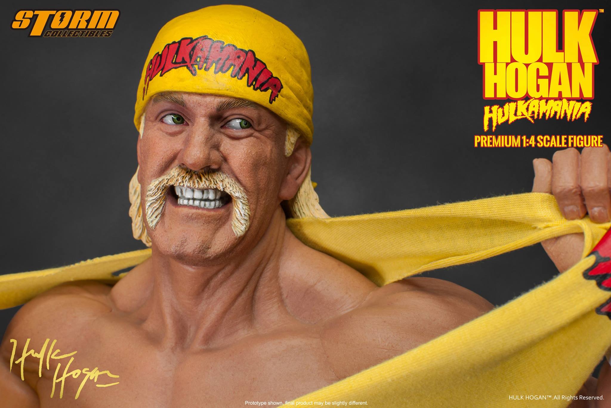 Hulk Hogan Figures by Collectibles | ActionFiguresDaily.com