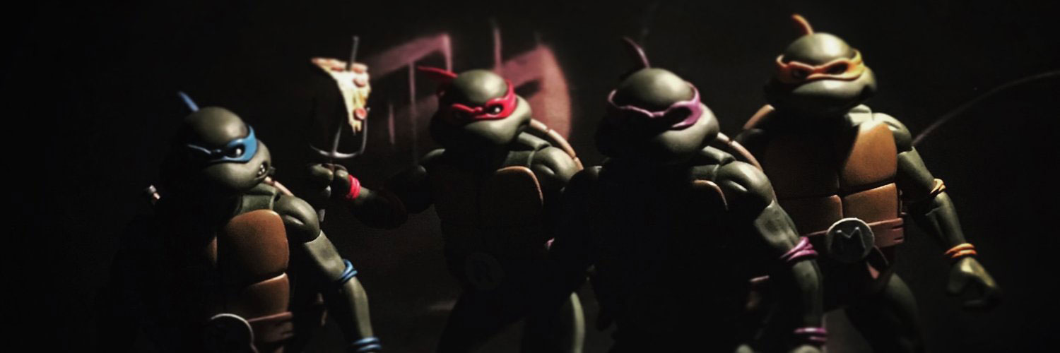 neca tmnt 6 inch