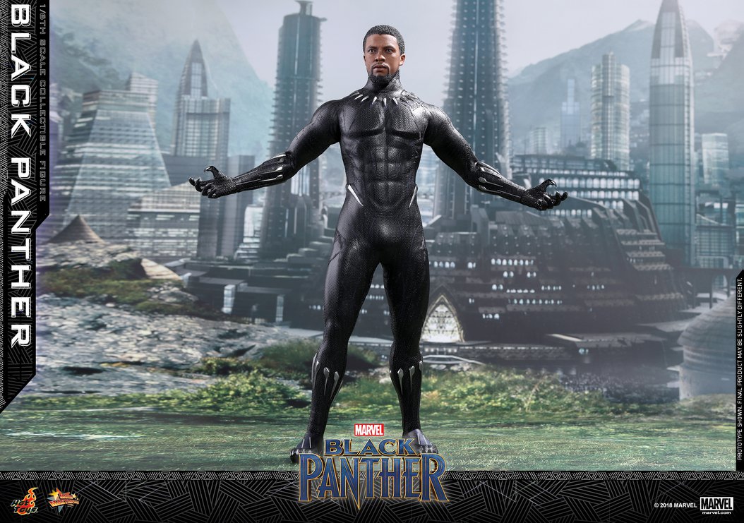 Hot-Toys-Black-Panther-2018-Figure-008