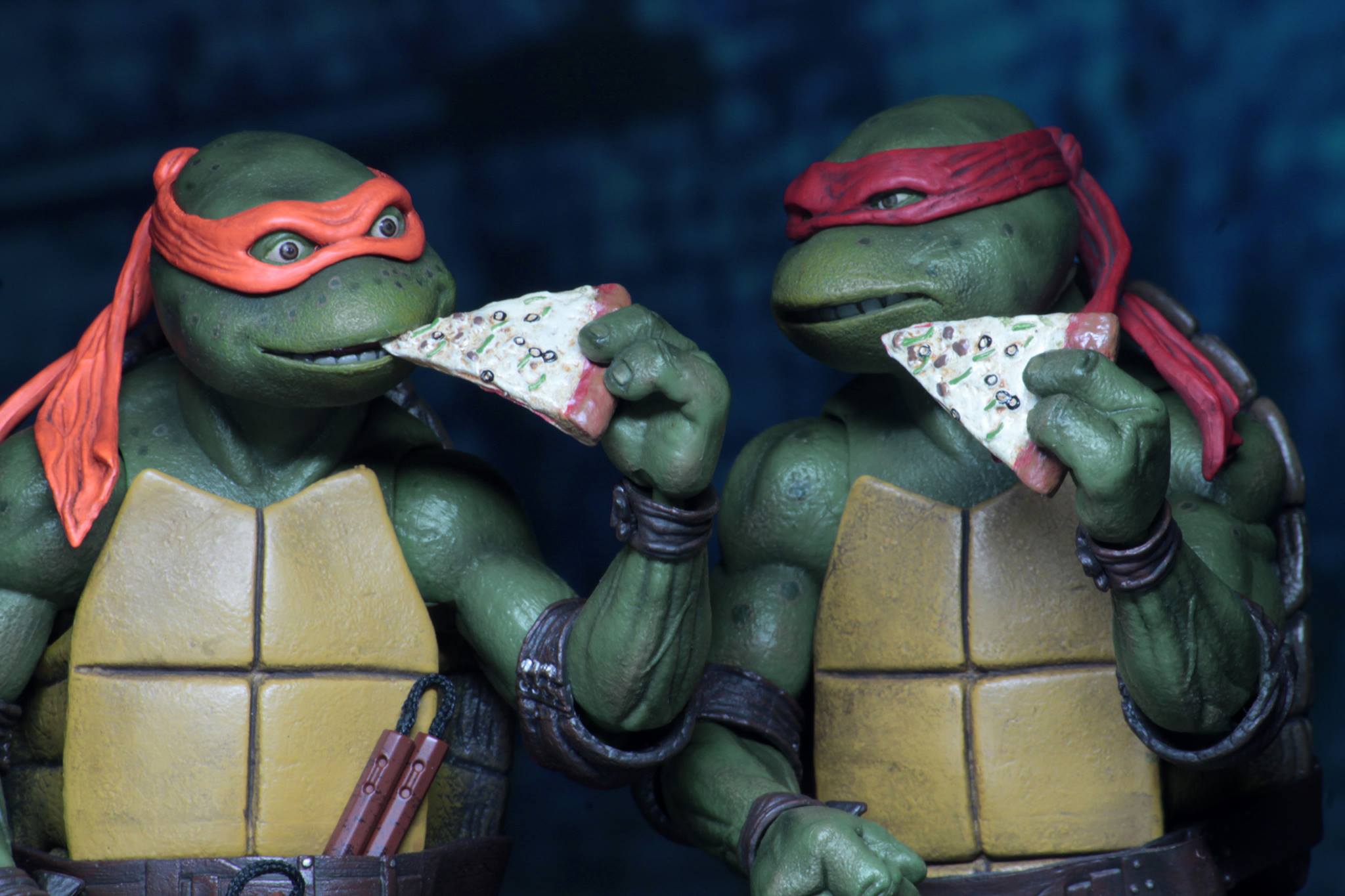 Neca tmnt hot sale 2018